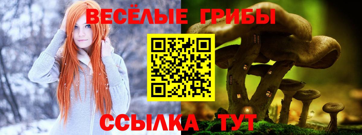 Галлюциногенные грибы мицелий Шарыпово